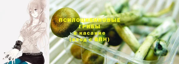 PSILOCYBIN Алексин