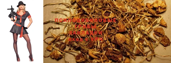 PSILOCYBIN Алексин